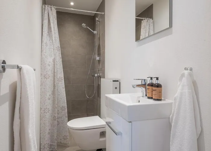 Newly Renovated 1-bed In 公寓 *